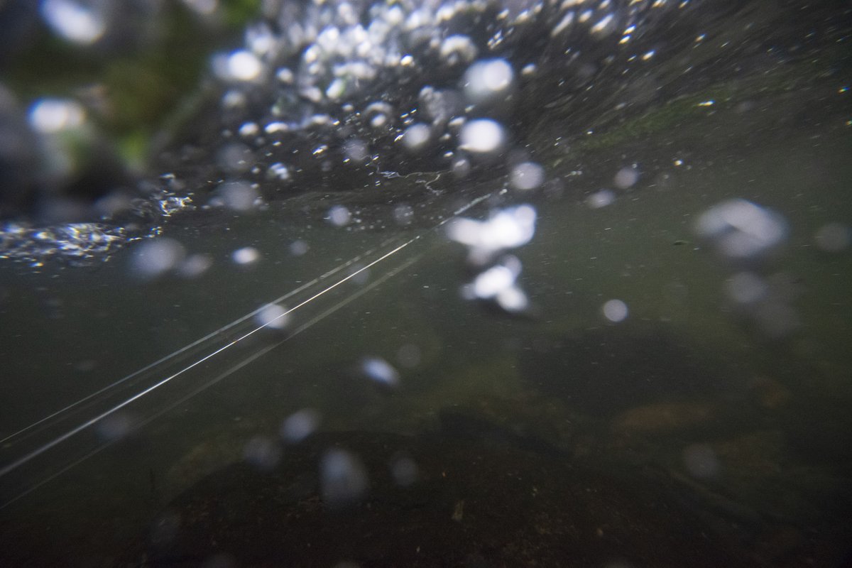 Today is day 3 of presenting my Hoosic Suite - Land Harp compositions created while Artist-in-residence at the Studios at MASS MoCA. You can listen to a unique piece daily here through 7/13: davidandree.com