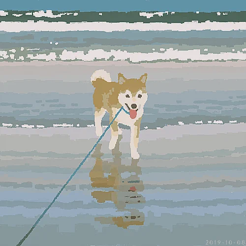 海と犬 