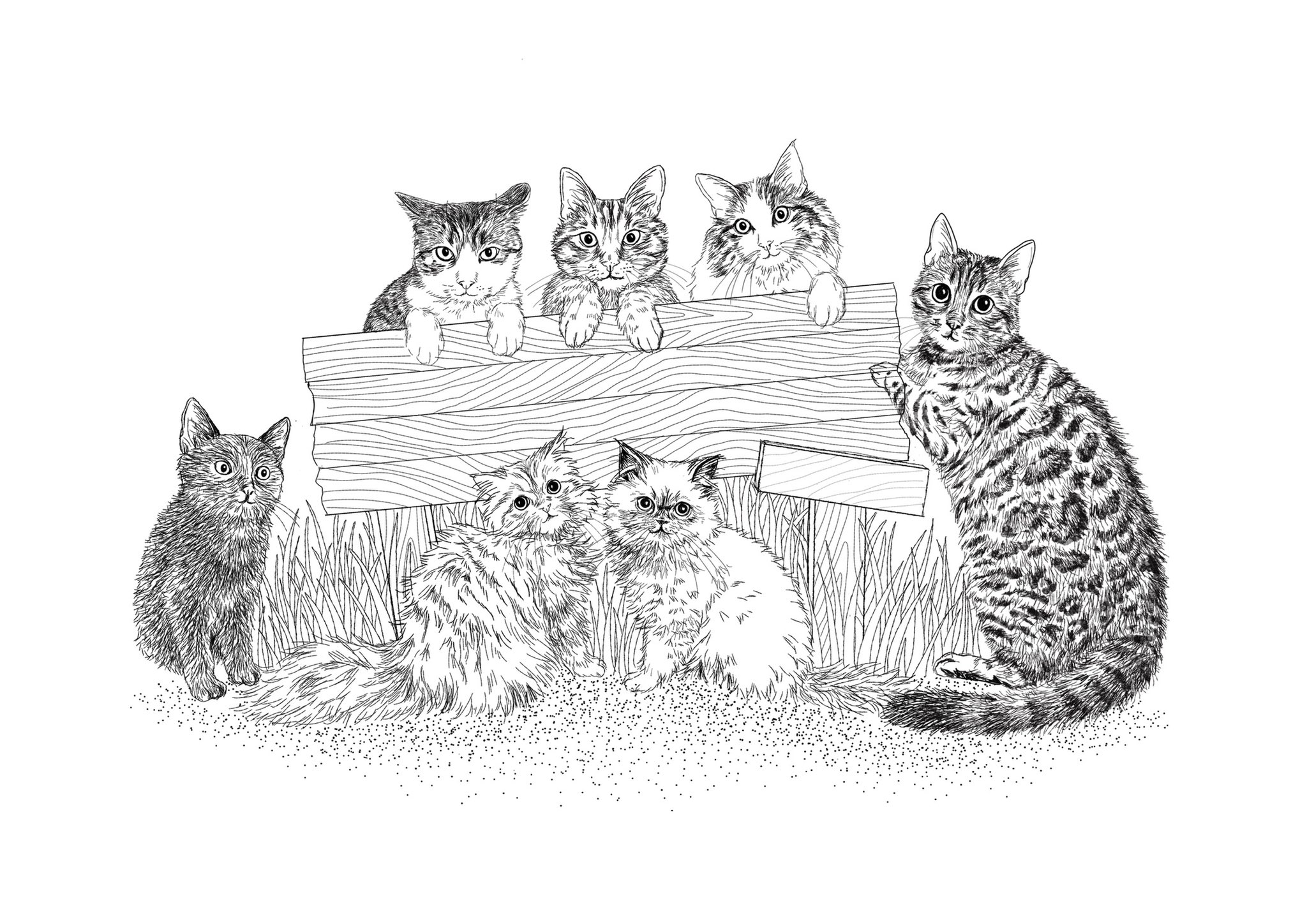 Orie Kawamura イラストレーター デザイナー 家族募集します に合わせ描いたイラストをフリー素材として配布 色を塗ったりお好きな文字を入れてお使い下さい 保護猫の家族募集 お知らせなどにsnsやチラシなどで使用するのにおすすめ サイトのfreebee