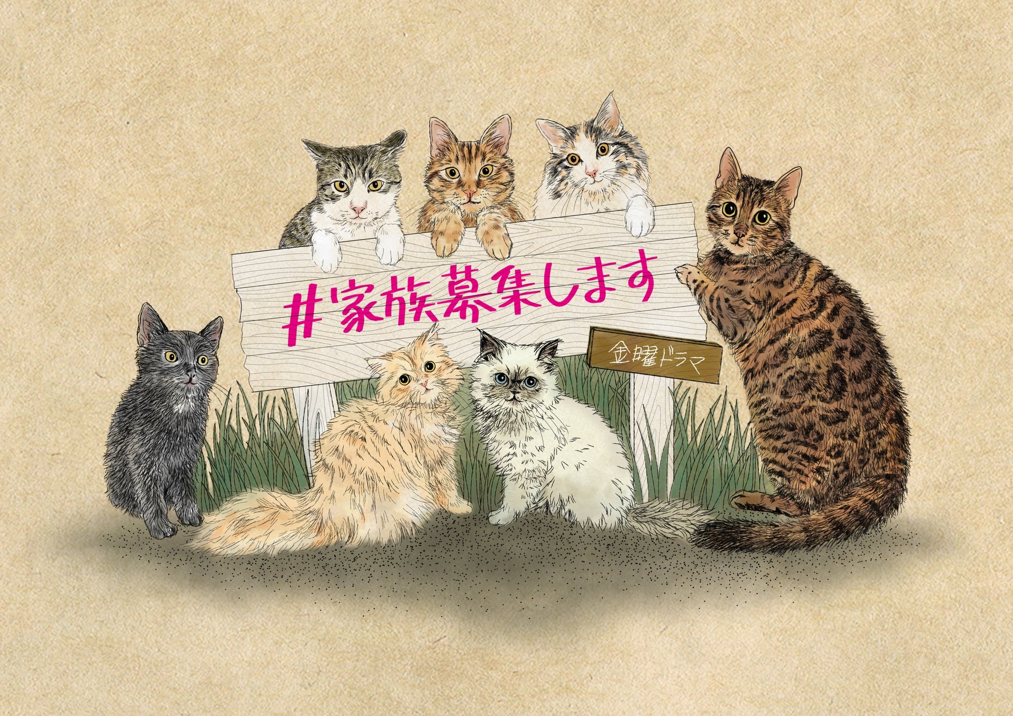Twitter 上的 Orie Kawamura イラストレーター テキスタイルデザイナー 家族募集します に合わせ描いたイラストをフリー素材として配布 色を塗ったりお好きな文字を入れてお使い下さい 保護猫の家族募集 お知らせなどにsnsやチラシなどで使用するのにおすすめ