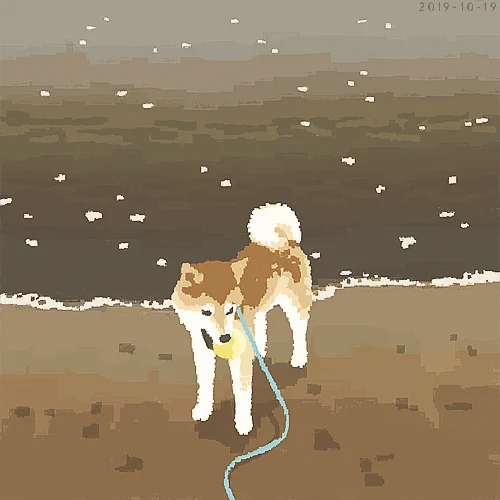 海と犬 