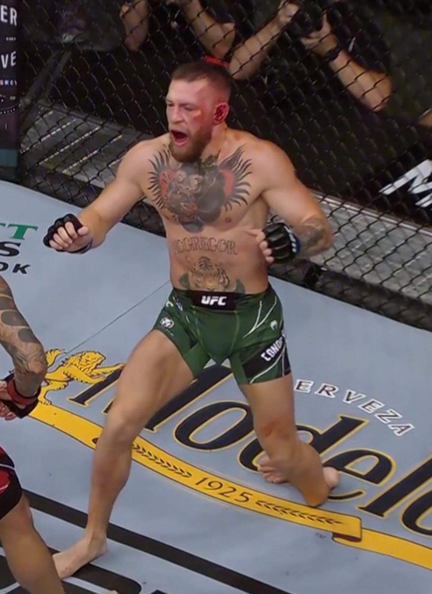 sonsofgrimnir's tweet image. An injury to Conor McGregor's leg forced a Doctor's Stoppage in the #UFC264 main event.

Dustin Poirier won via TKO

#McGregorvsPoirier3 #McGregor #poirier #stoppage #brokenankle