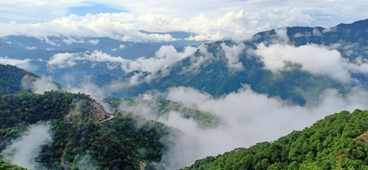 ReetuSubba tweet picture