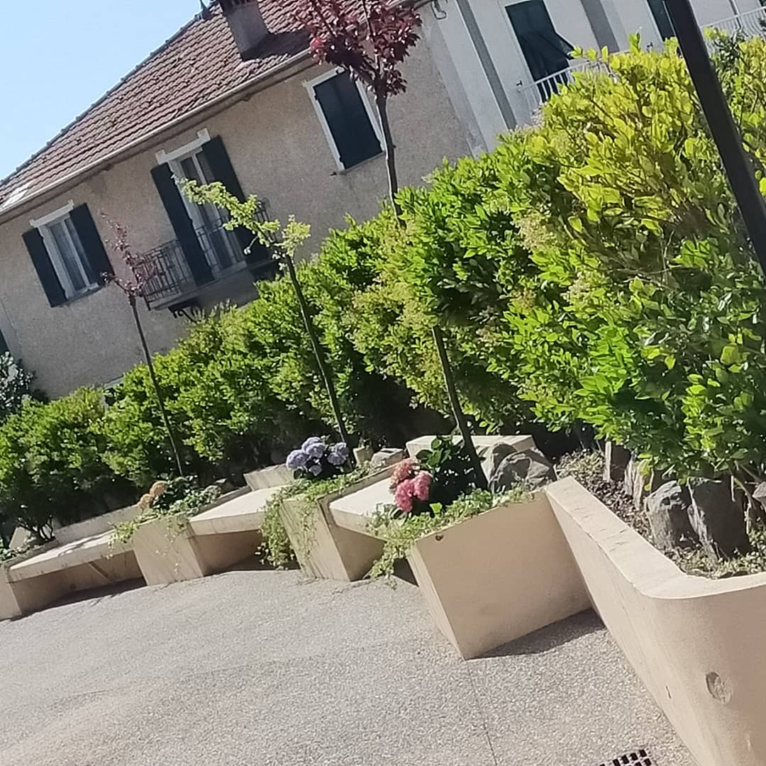 ProLocoPallare's tweet photo. Ogni fiore che sboccia ci ricorda che il mondo non è ancora stanco dei colori.
(Fabrizio Caramagna) https://t.co/myNKbWZWAG