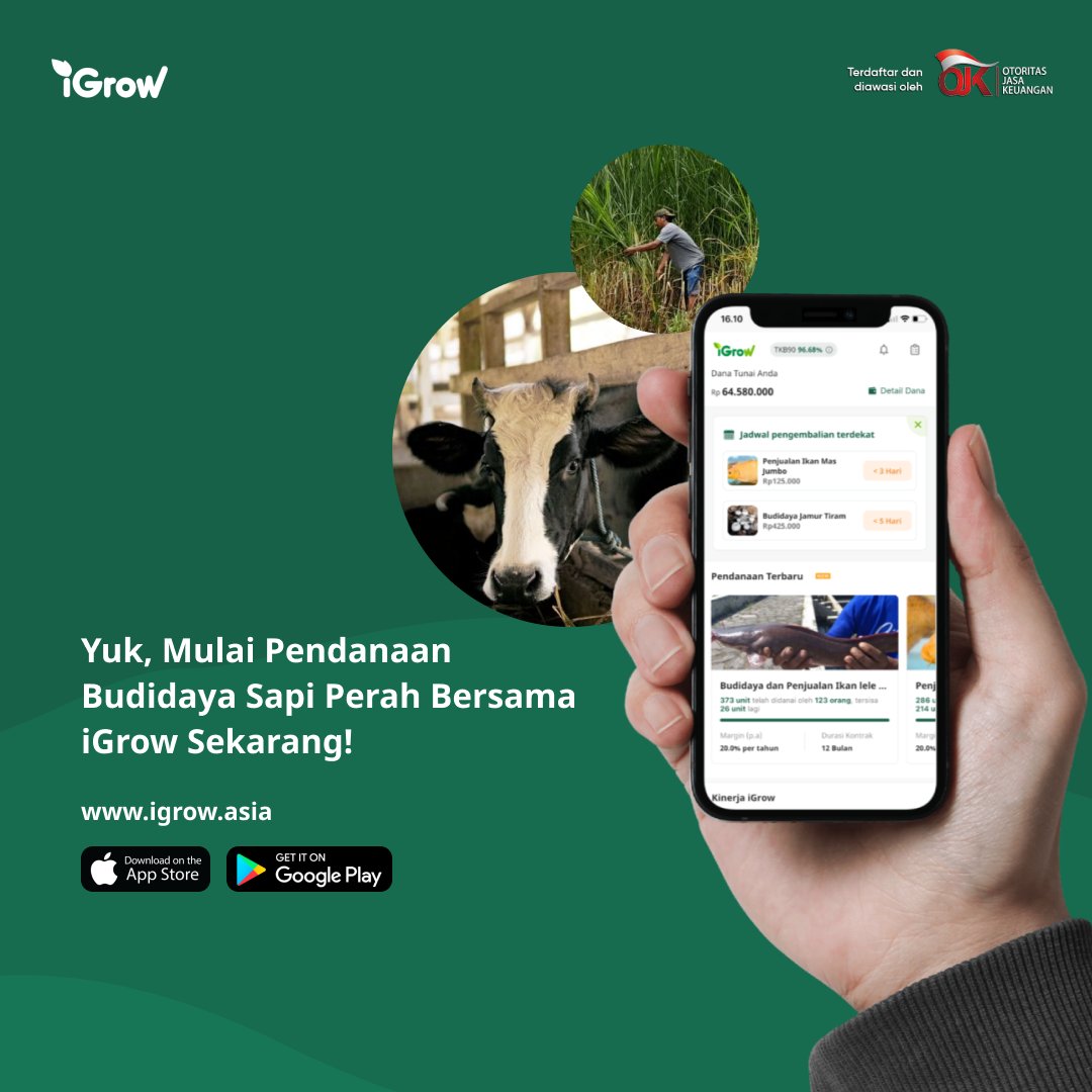 Growers,  total produksi susu sapi dalam negeri hanya dapat memasok 20% dari total kebutuhan susu sapi dalam negeri. Yuk simak peluang budidaya sapi perah!

#TumbuhBersama #p2plending #p2plendingindonesia #petani #pertanianindonesia #SapiPerah