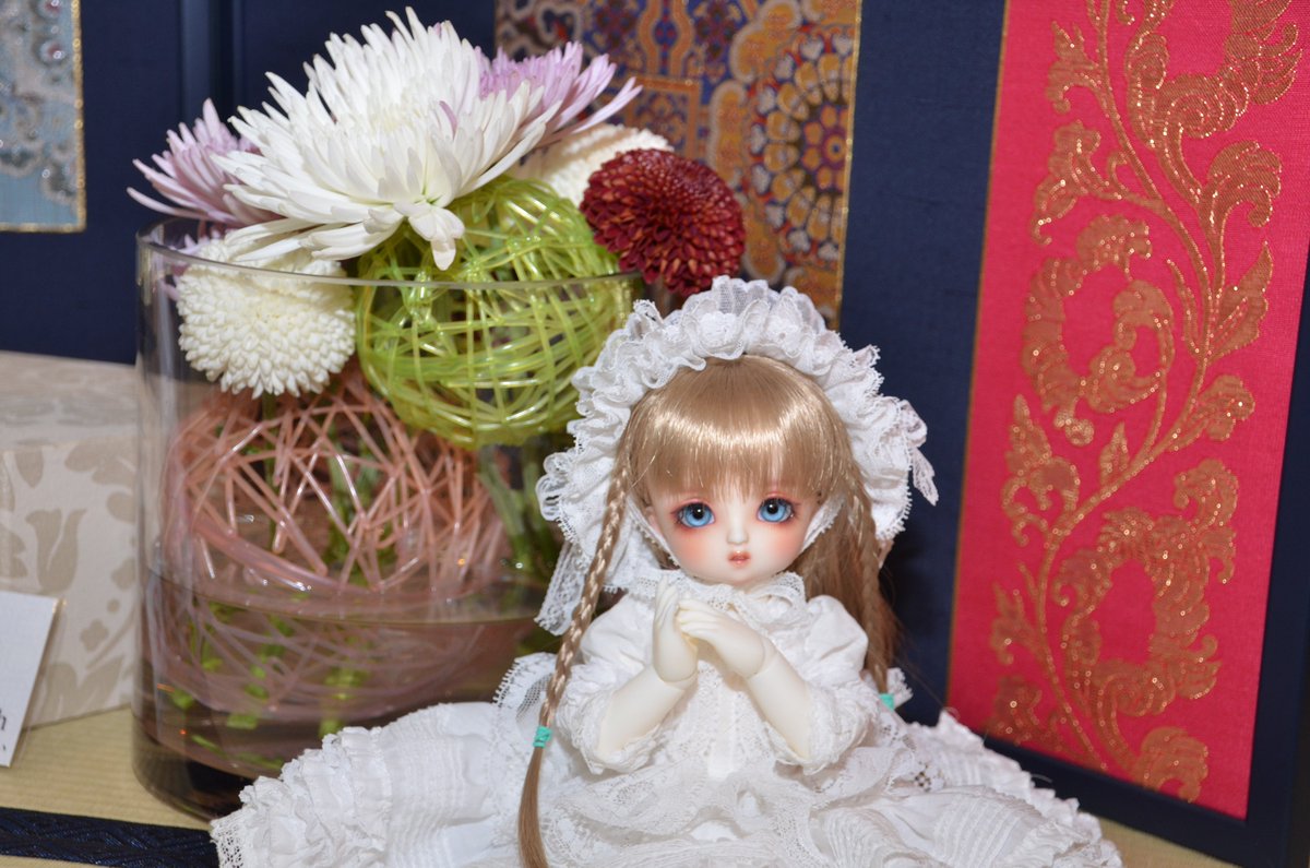dolls_riz's tweet photo. 異国分化を楽しんでるお姫様感(*´ω｀*)今後小さい子用の着物か袴用意してあげたいです✨
#幼SD #幼SDルルー #スーパードルフィー #天使の里 https://t.co/9TEvOkDjeY