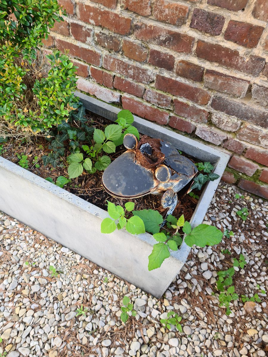 bauermelanie1's tweet photo. Reveil au Touquet. #Touquether https://t.co/E3Mtc00Fq5