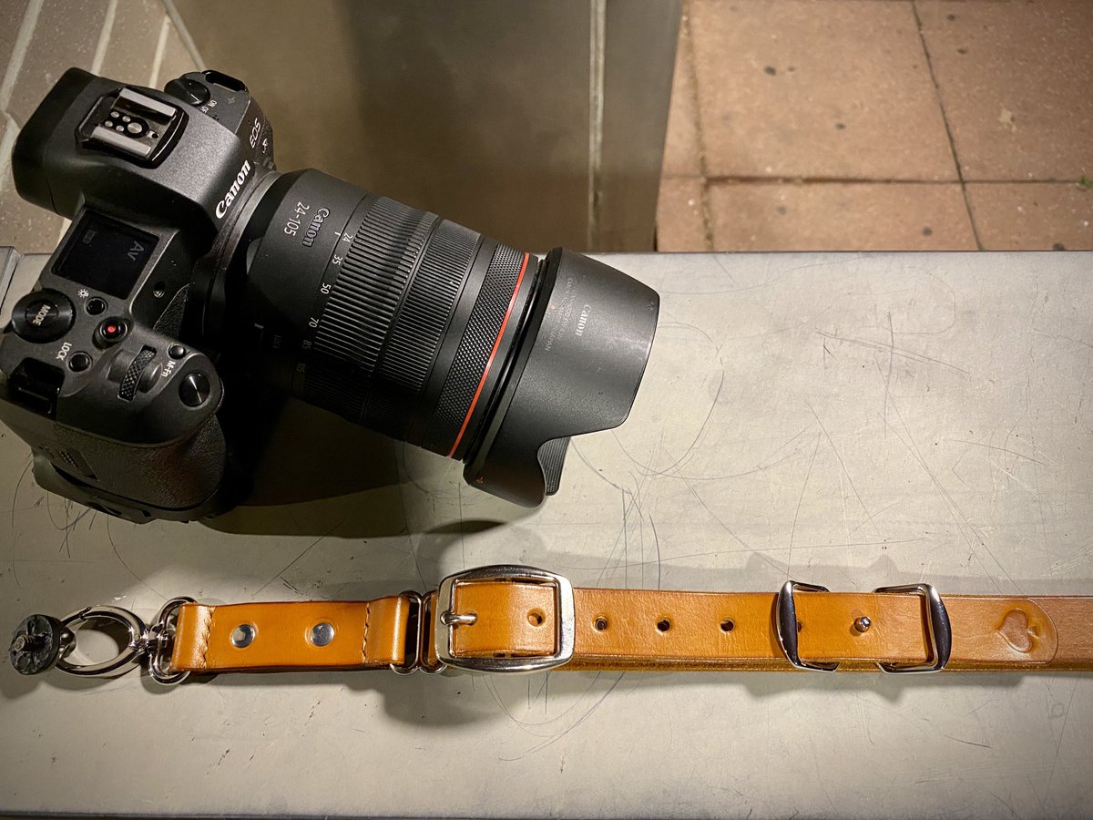 Tom Sheppard tweet media