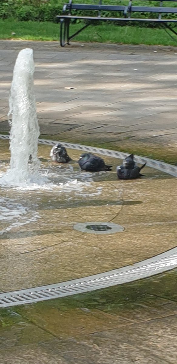 Sunday morning vibes 😴