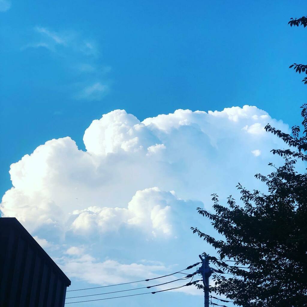 lininha717's tweet photo. わたあめのような大福のような、もくもく、もっちりした大きな雲が青空に出てました。この後天気は予報通り、雷と豪雨に見舞われました。。
#clouds #cloudgram #summersky https://t.co/1jRDW5MwUm https://t.co/5R21LM8ByX