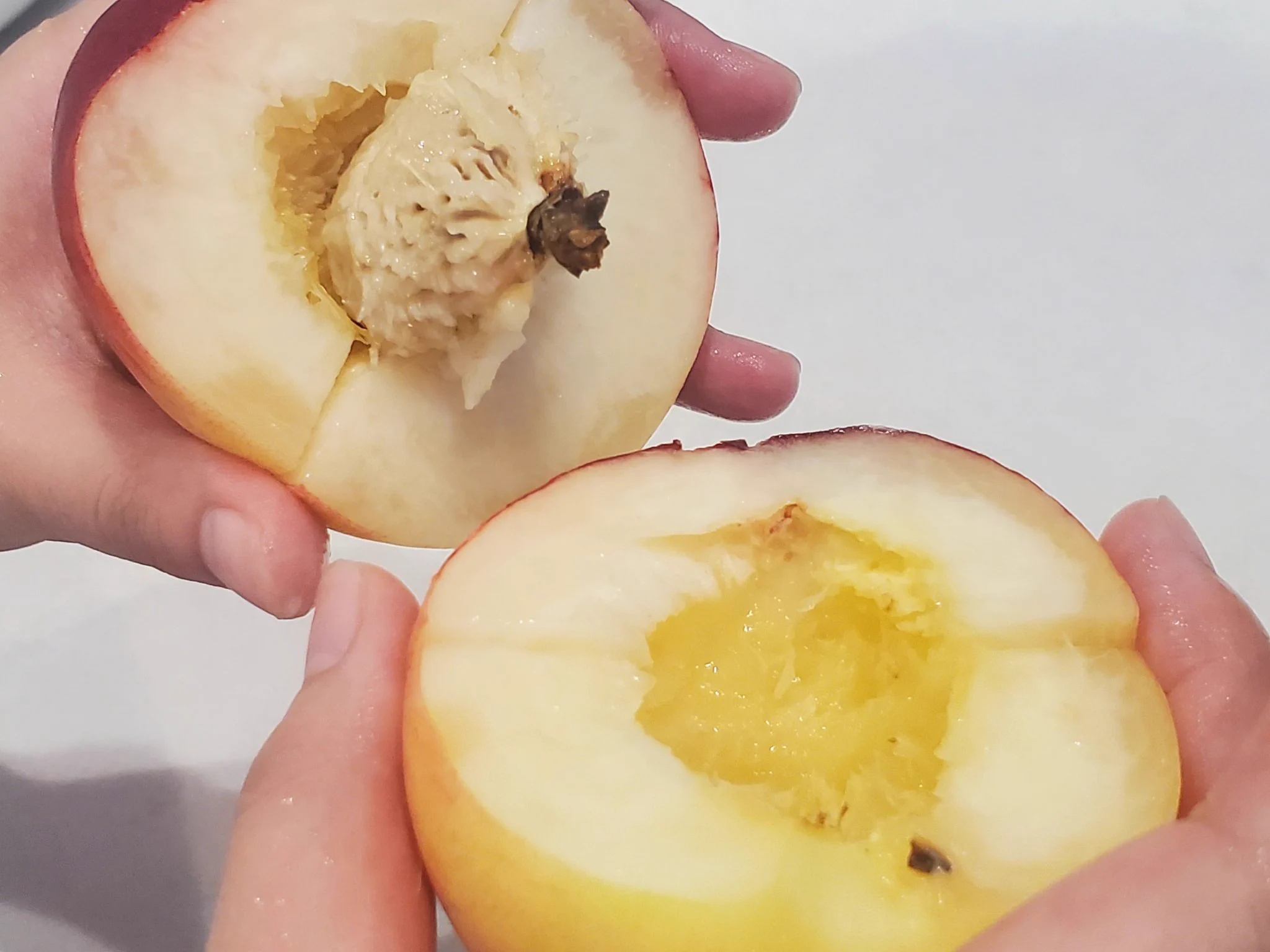 お試しあれ！桃をムダなく簡単に食べる方法！