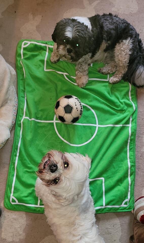 Parsley Meek tweet media