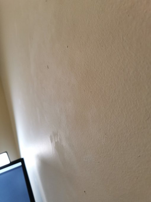 Do you see all the footprints on my wall from spreading me legs open? https://t.co/xjKgJkSa7y<a href="/tag/bbw"class="tags"><span>#bbw</span></a><a href="/tag/camgirl"class="tags"><span>#camgirl</span></a>