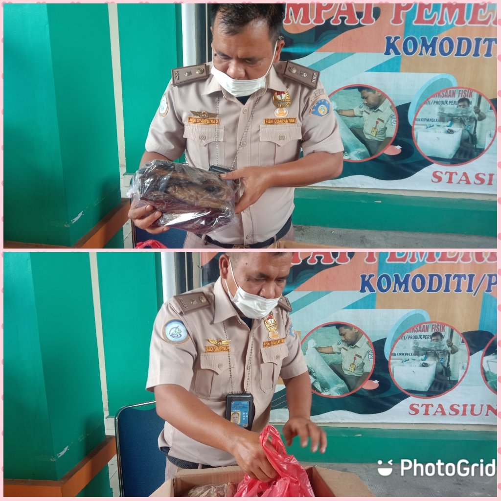 Badan Mutu KKP Pekanbaru tweet media