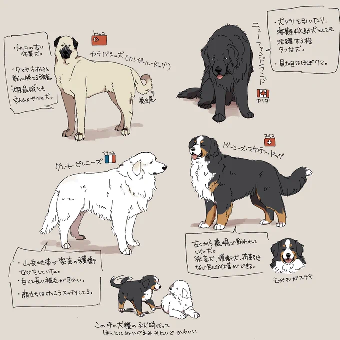 3月末に募集したリクエストより超大型犬5種類
長らくお待たせしてすみません…!

※2枚目に擬獣化あります 