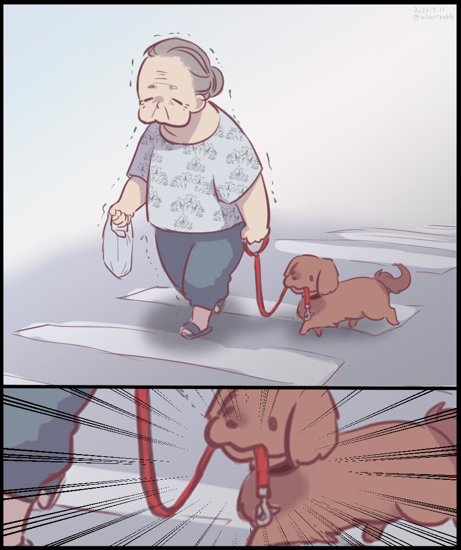 どっちが散歩をさせているの これは尊い この間見たおばあちゃんとすごい犬のイラストに大反響 Togetter