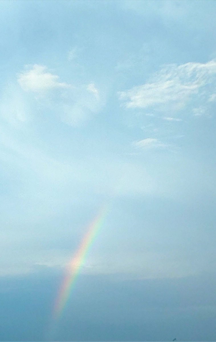 Dog Heaven 英語多読 Dogheaven Twitter