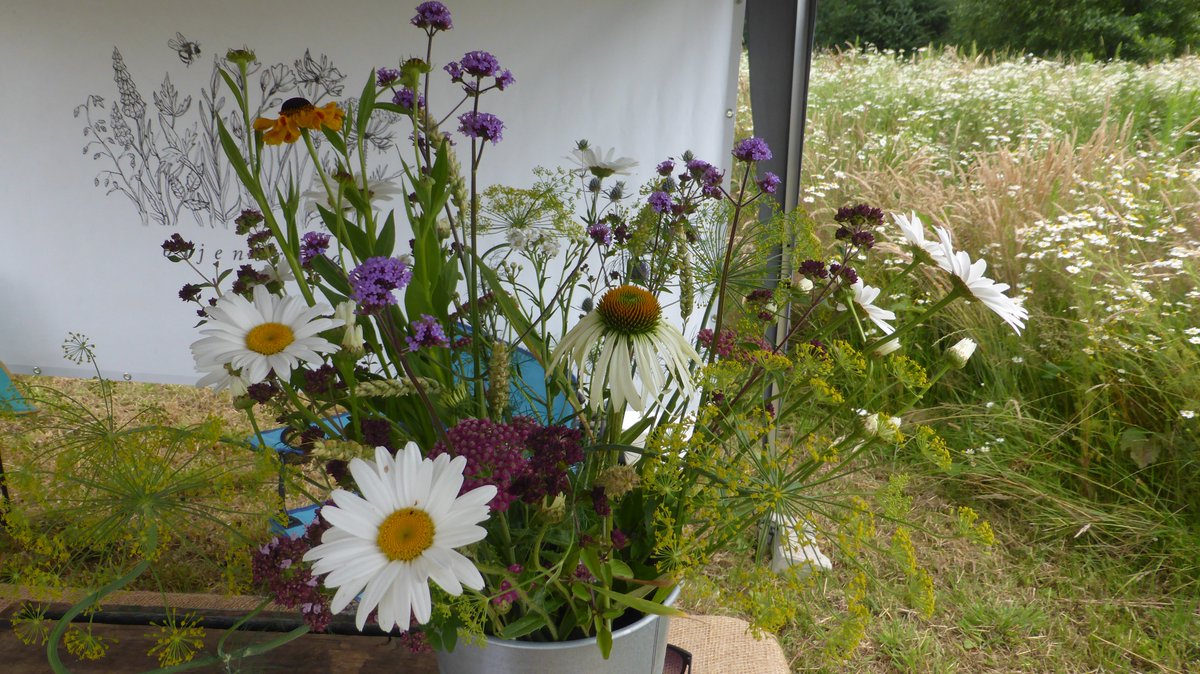 Open Tuinendag van Biologische Snijbloemenkwekerij #Bijenbrood in Ravenswoud bezocht.
Het gifvrije alternatief voor de gangbare manier van snijbloemen kweken.