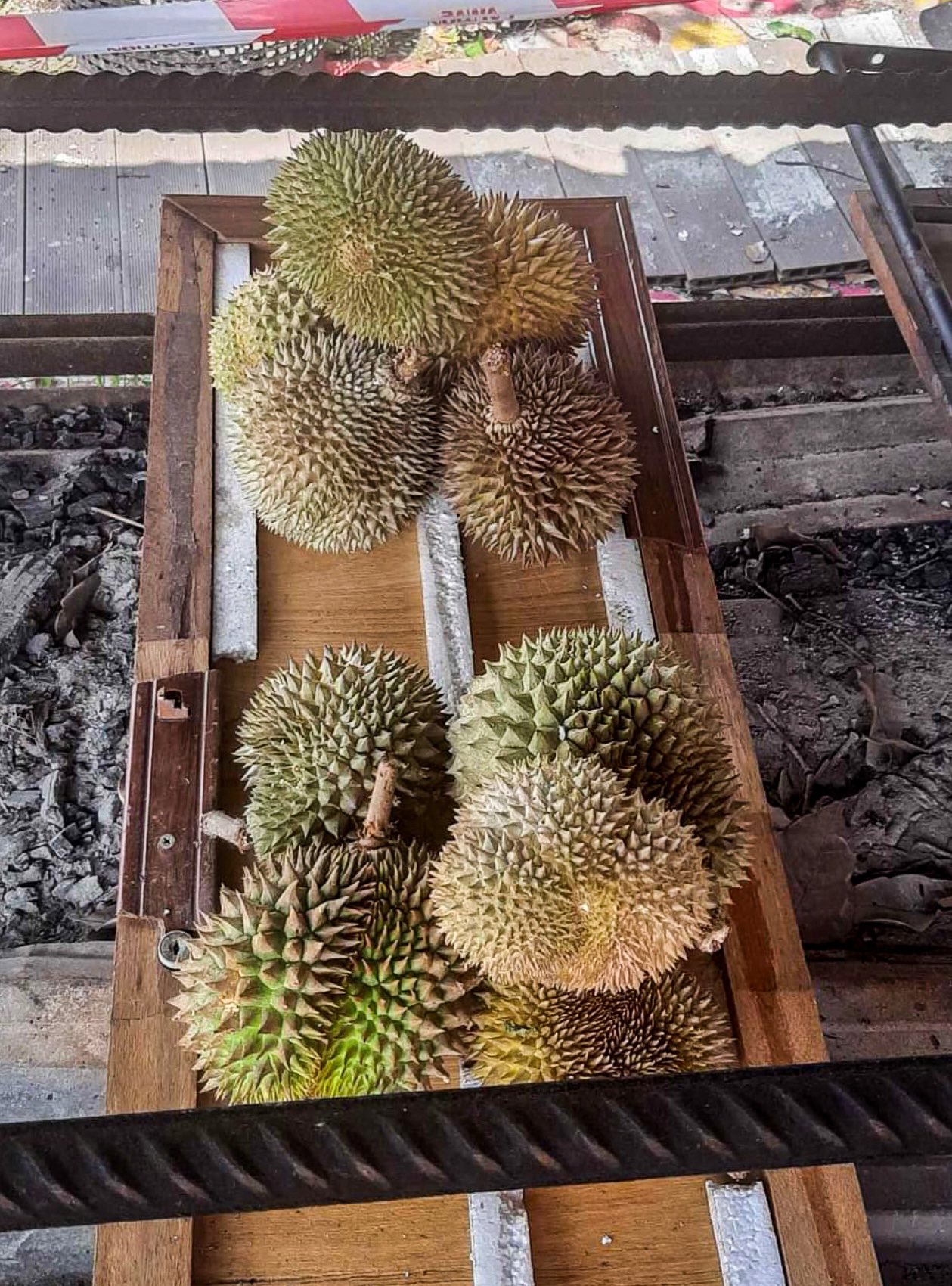 Durian ioi harga