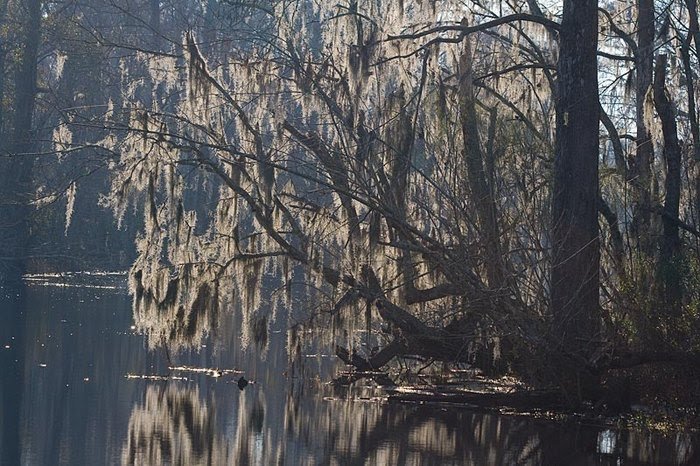 Abe 'Stone Cold' Lincoln tweet media