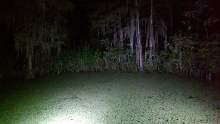 Abe 'Stone Cold' Lincoln tweet media