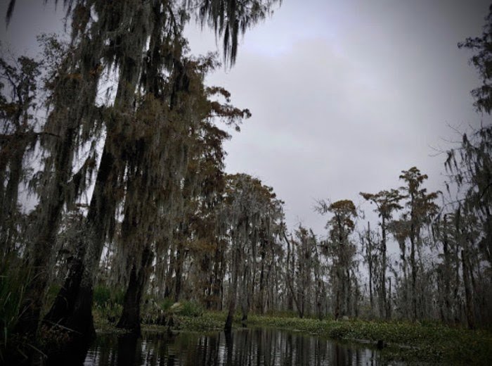 Abe 'Stone Cold' Lincoln tweet media