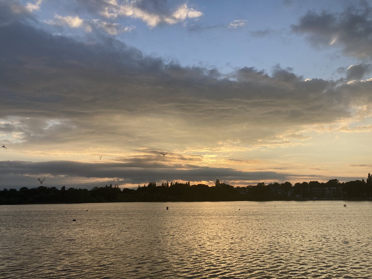 Natalie Williams tweet media