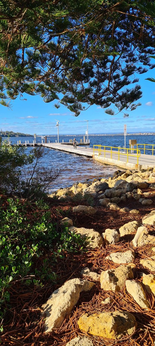 dockerjo1960's tweet photo. Today was cool but lovely. Storms heading our way over the next week so Mum and I took advantage of the sunshine. Spent a few hours at #PointWalter https://t.co/FknhJDVt91