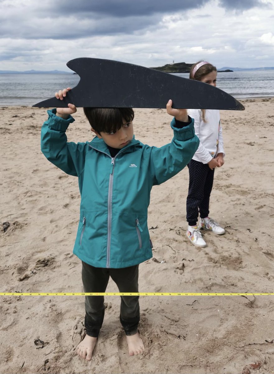 wildsidenat's tweet photo. We learnt all about and measured out the size of various #species of #cetaceans as part of the“Marine Biologists” #summerholiday sessions that we had great fun running down at Yellowcraigs #beach in #EastLothian 🐋🐬#STEM #outdoorlearning #learingthroughplay #STEMeducation https://t.co/bzXJbHgsC7