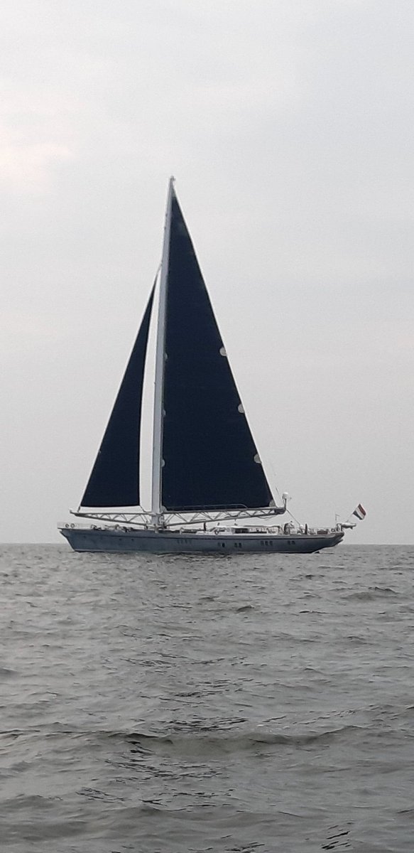 OZD_CDE's tweet photo. Sailingvessel #Dwinger, 50x10x3. Big! https://t.co/ElbjF7Yl9I