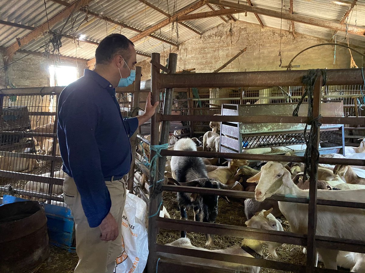 🐮 🥩 <a href="/franalhendin/">Francis Rodríguez</a> muestra el “apoyo incondicional” del PP al sector agro-ganadero, fundamental para el desarrollo de las zonas rurales, y rechaza las campañas de “desprestigio” del Gobierno

🗞 bit.ly/36teh0N

🧵👇🏽