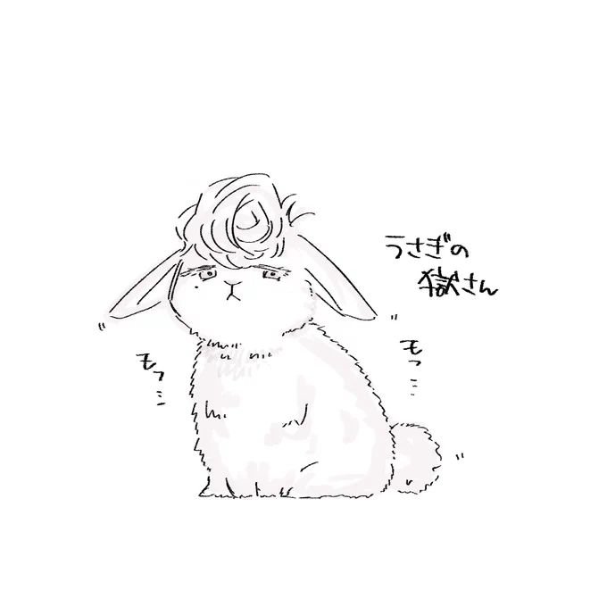 🐰の再放送です 