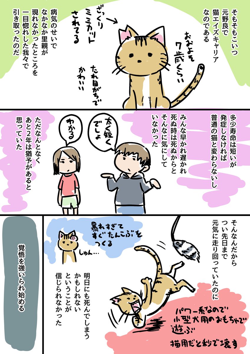 ウチの猫が病気になった その3 