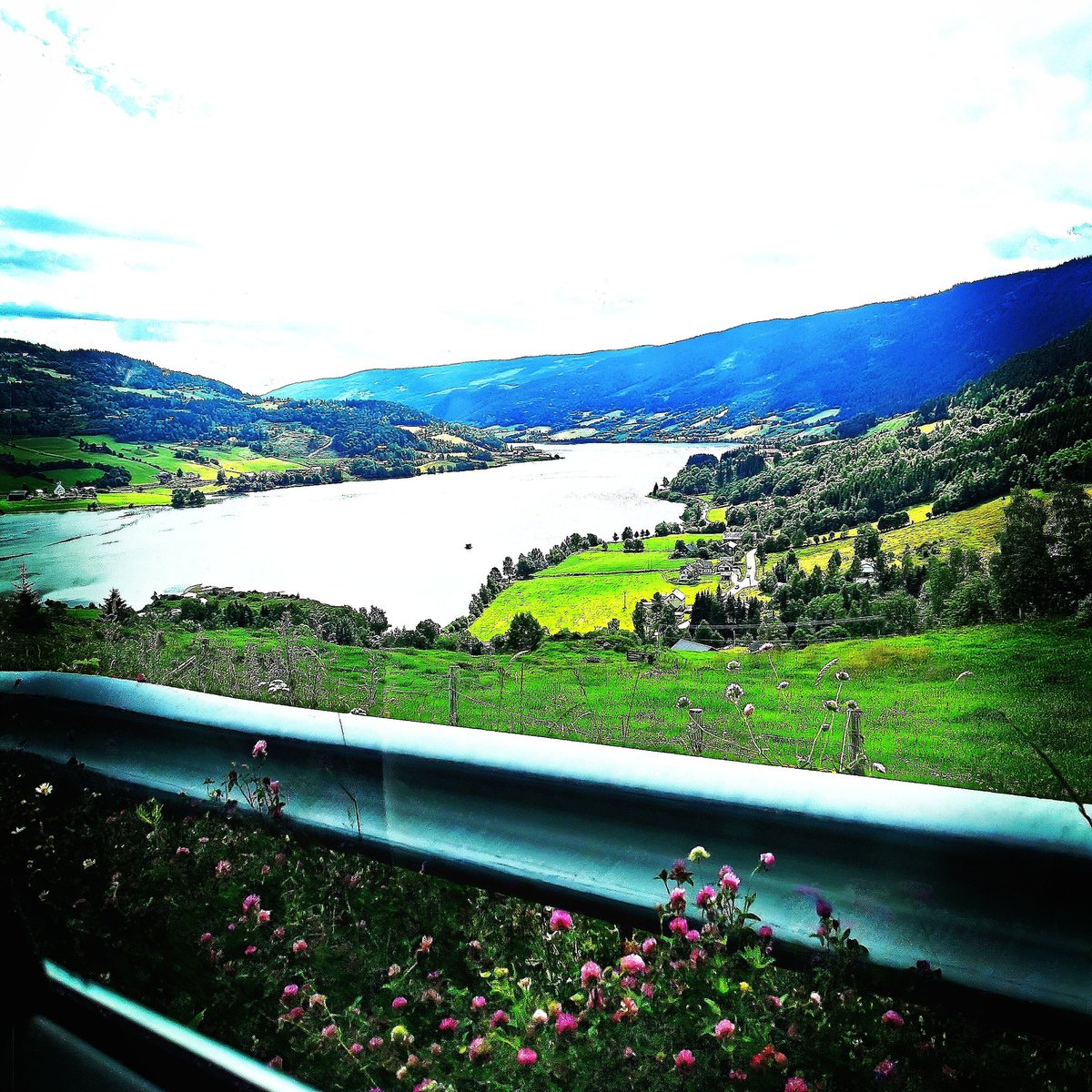 MarsforceP's tweet image. 