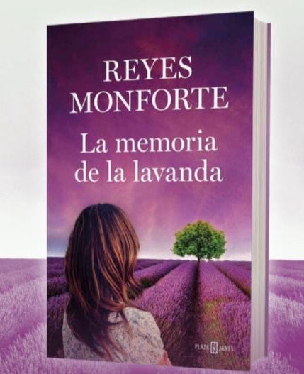 reyes monforte tweet media