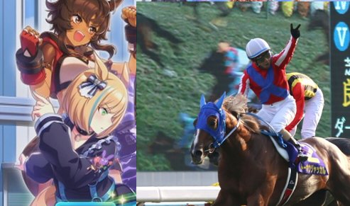 競馬 ゼッケン 調教 トーホウジャッカル ウマ娘