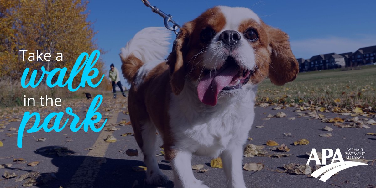 Dogs love walks! Grab your K9 and head out for a nice stroll down your favorite asphalt trail, snap a pic and share on all American pet photo day.