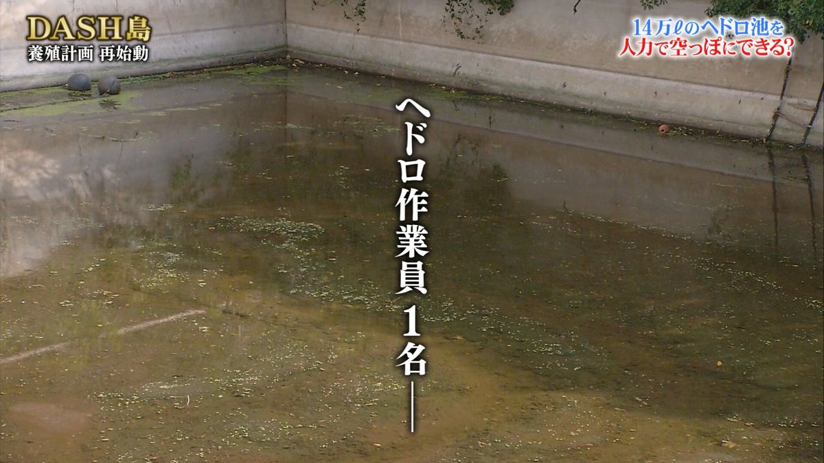 Dash島のため池から140トンのヘドロを人力で掻き出す450日の戦い 経験と筋肉と番線で解決できるか 鉄腕dash Togetter