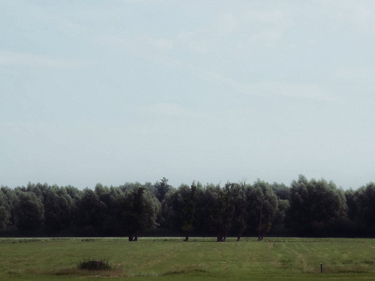 Black_Autumn_'s tweet photo. #calberlah #niedersachsen #landscape https://t.co/QDwpwnRixE