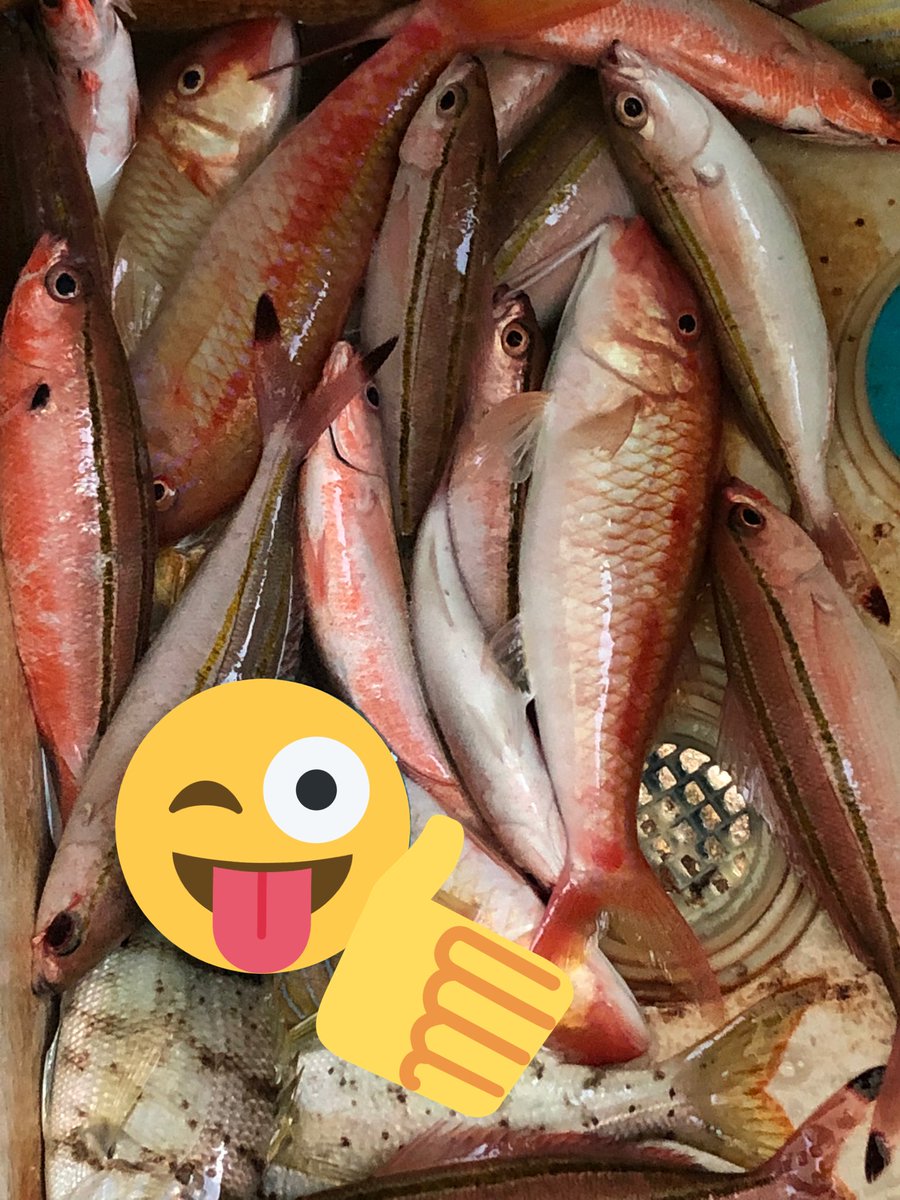 トリプル王子 ラジオ沖縄 Weloveyuming2 ひろみさんユーミンさんに 癒されているリスナーの皆様雨の後近くに沖 釣り楽しかったです カタカシ シルユー グルクン ビタローいっぱい釣れましたよ クシレーながら 癒されております 素敵な夜をー