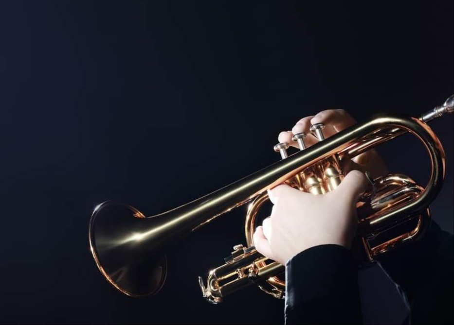 IWSymphony's tweet image. Next Sunday, 18th July, a quintet from our brass section will be performing at Rylestone Gardens, Shanklin at 3pm. An hour of renaissance, classical, film &amp;amp; TV tunes. Come along for a listen.... it's free!