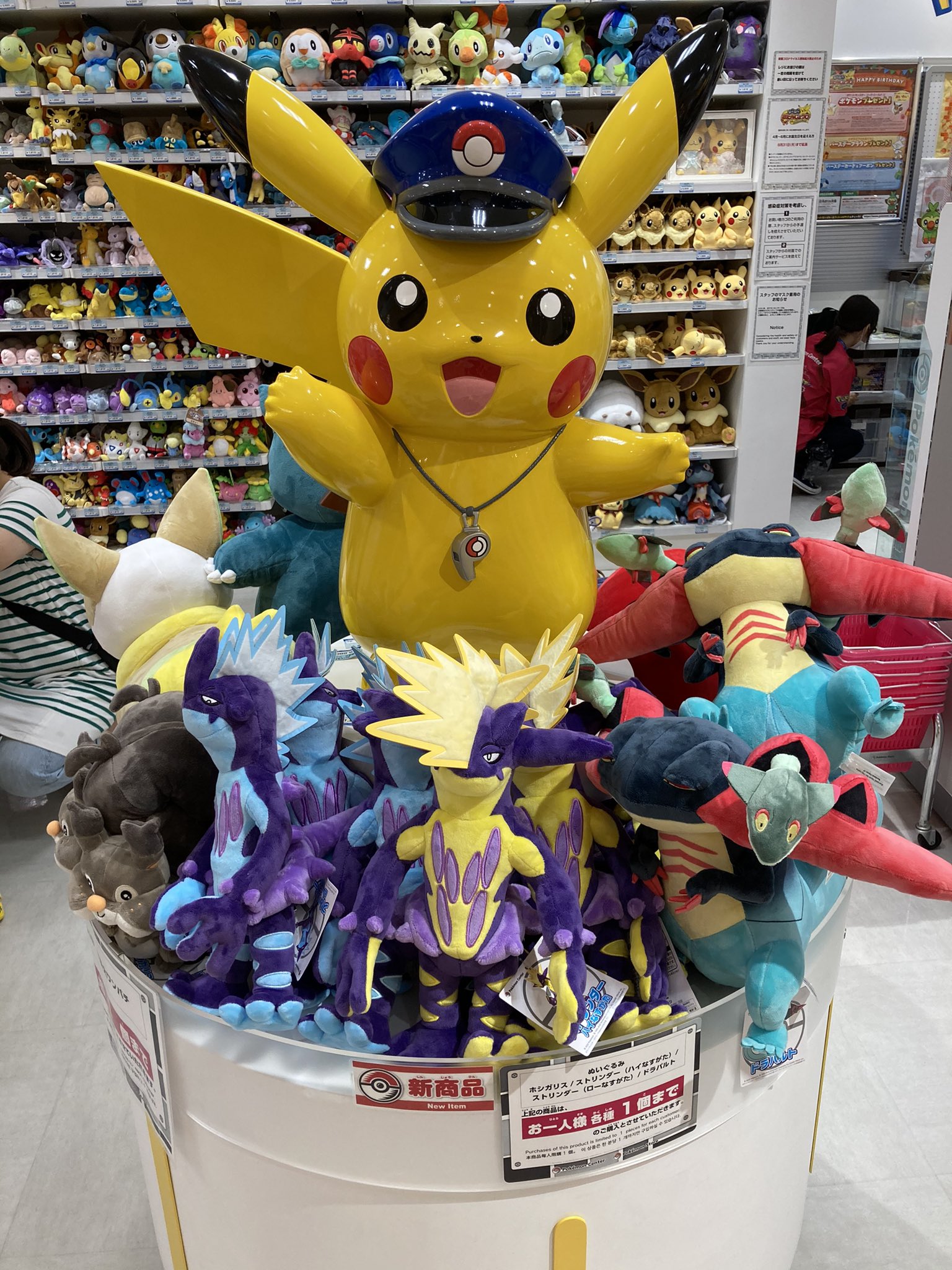 カラスコ ヌメダース そしてこの後の時にはポケモンストア アミュプラザ鹿児島店も閉店 去年指宿に行った帰りに行ったのが最初で最後になってしまった T Co 0xxryfjowd Twitter