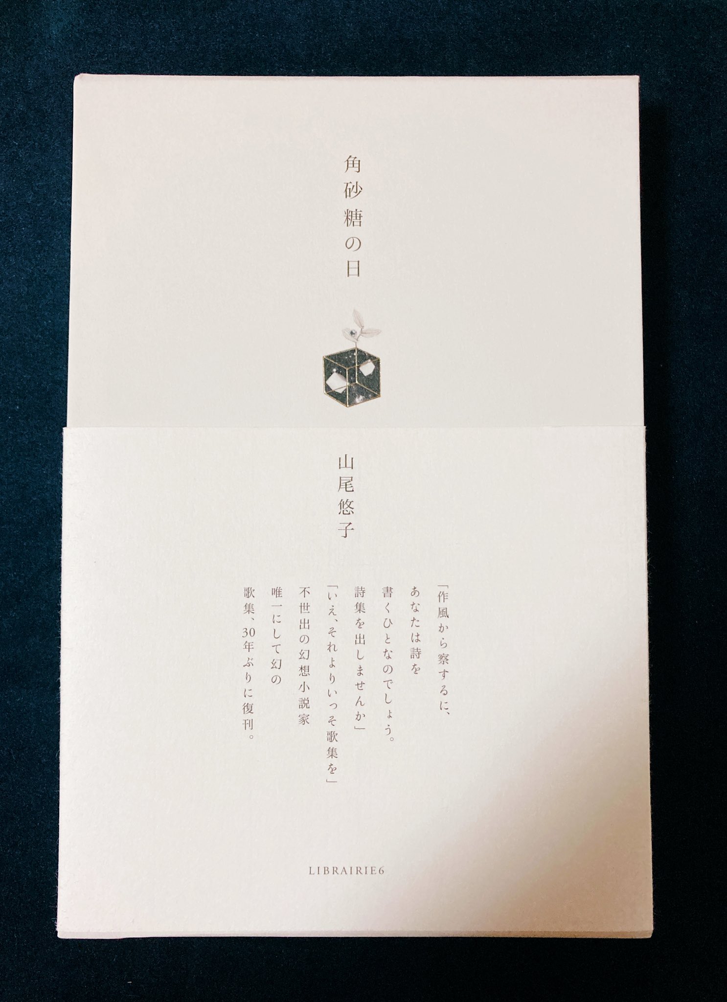 角砂糖の日 新装版』⚡️五年ぶりの増刷⚡️ (@kakuzatonohi) / X 角砂糖の日 新装版』⚡️五年ぶりの増刷⚡️ (@kakuzatonohi) / X