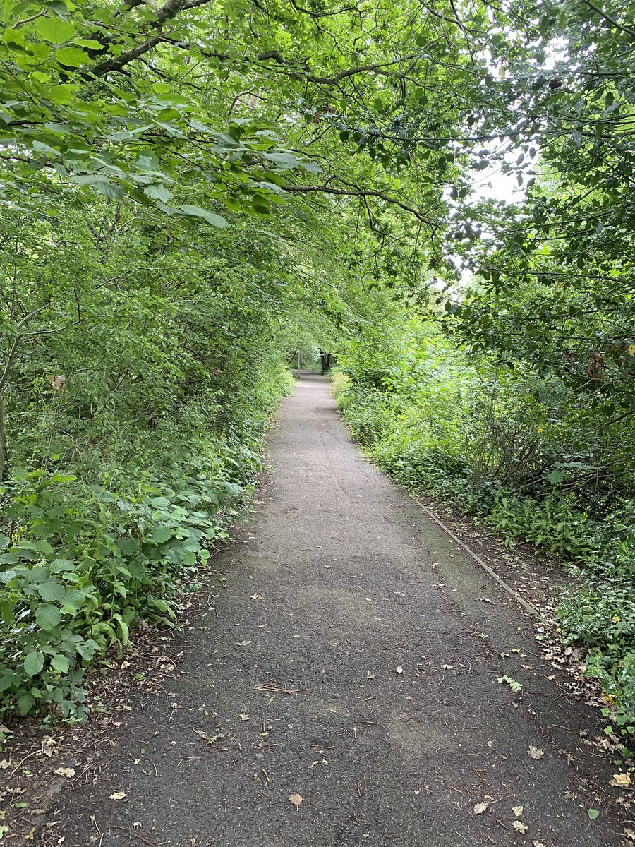 Metal_Jo85's tweet photo. Really didn’t feel great this morning, but something made me get out for a run with @runningpunks  and now I feel great! Another 8k under my belt 💪🏻music from @TremontiProject #ADyingMachine @ThisGirlCanUK @thismumruns https://t.co/kY4vKItL42