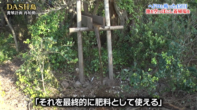 Dash島のため池から140トンのヘドロを人力で掻き出す450日の戦い 経験と筋肉と番線で解決できるか 鉄腕dash 3ページ目 Togetter Dash島のため池から140トンのヘドロを人力で掻き出す450日の戦い 経験と筋肉と番線で解決できるか 鉄腕dash 3ページ目 Togetter