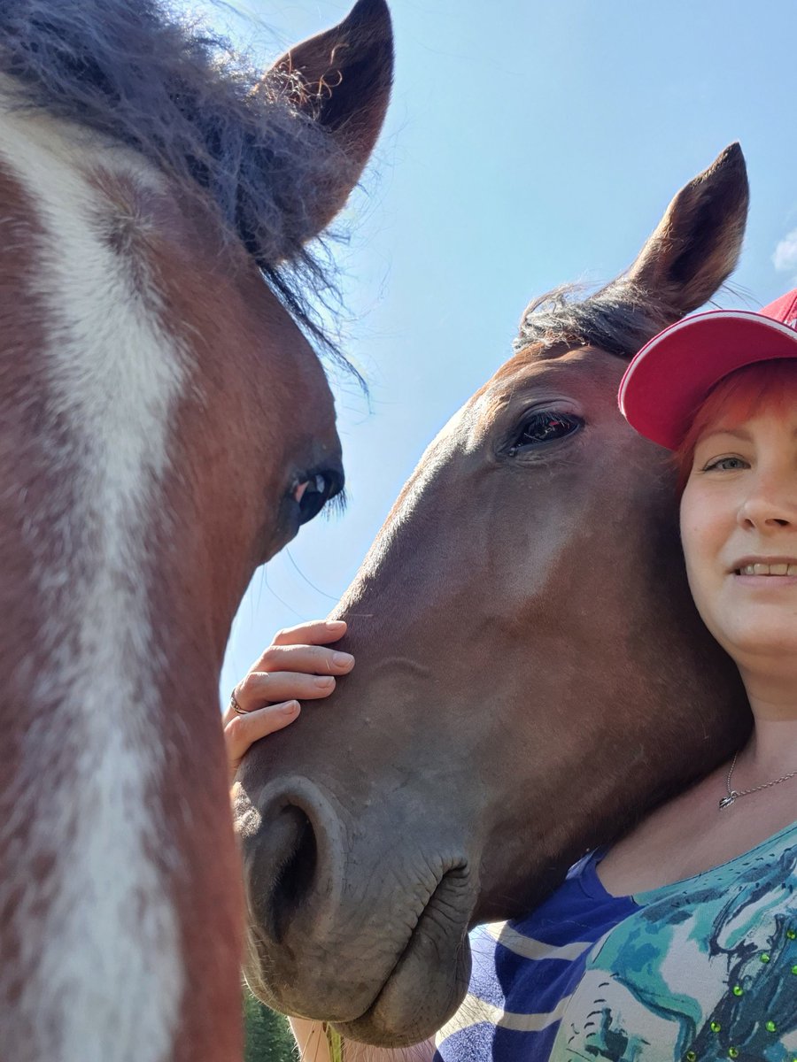 Turpaterapiaa❤ kimppamiittingit 7-8/8 pidetty ja vuotiaisiin varsoihin tutustuttu Lehtolan Juhan residenssissä. Seuraavaksi heppaillaan Siljan Hevosretkillä Kallelan Oriasemalla😊 #kimpanvetäjänhommia #hevosurheilu