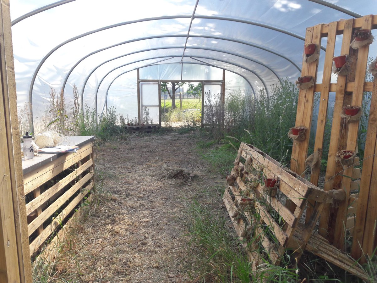 ColindaleGarden's tweet image. CCG is 1 today 🥳 Can't believe what we've managed to achieve in just a year🌻 Massive thanks to everyone who has supported us 💚