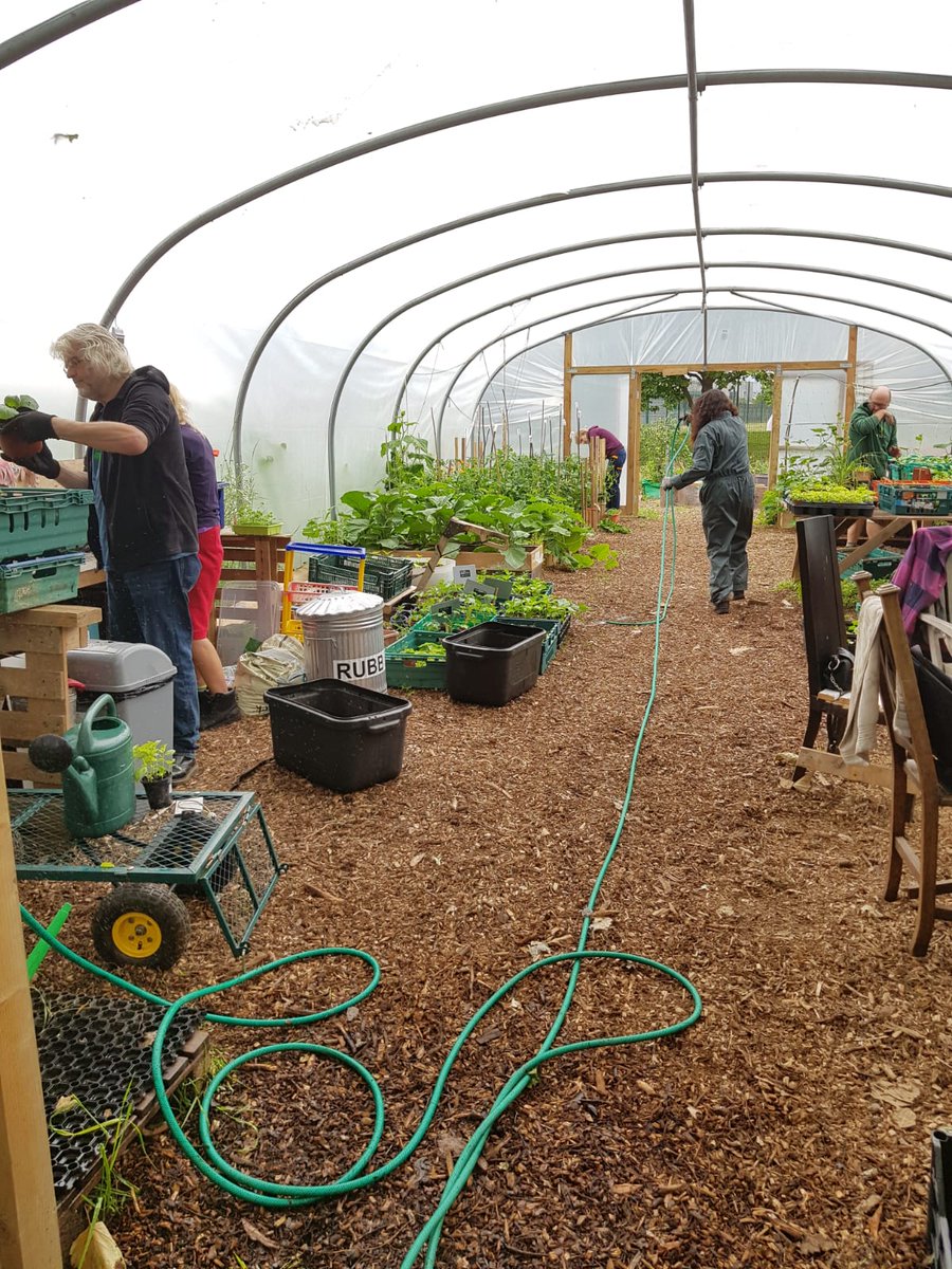 ColindaleGarden's tweet image. CCG is 1 today 🥳 Can't believe what we've managed to achieve in just a year🌻 Massive thanks to everyone who has supported us 💚