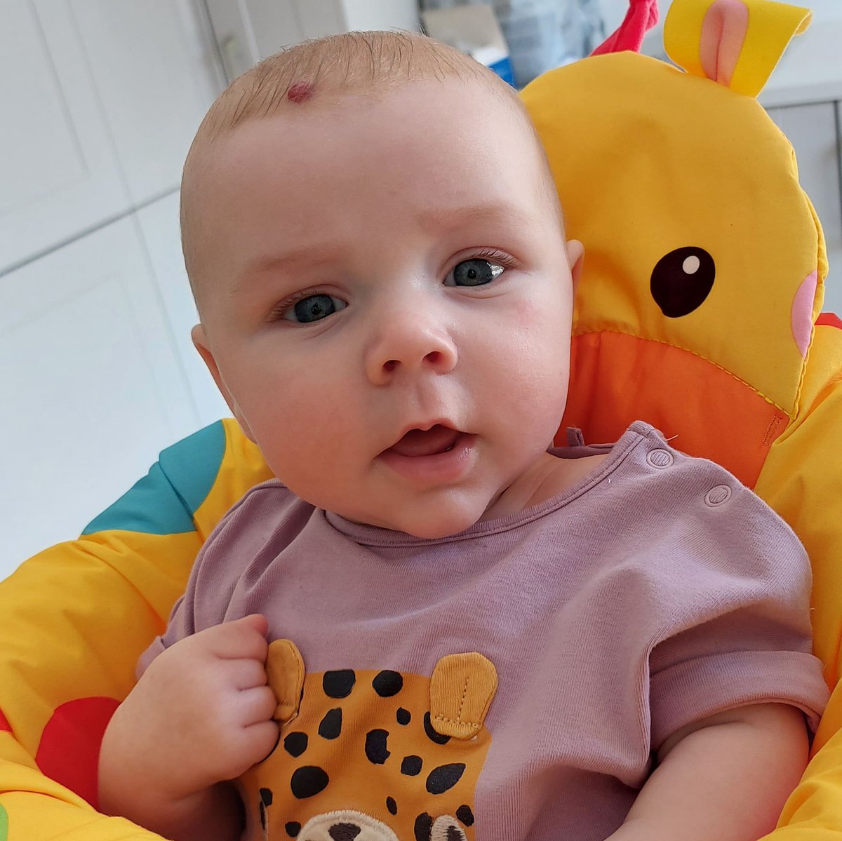 jonnymacgregor's tweet image. Wild day today looking after this little terror. Doesn&apos;t she look thrilled about it! 😂