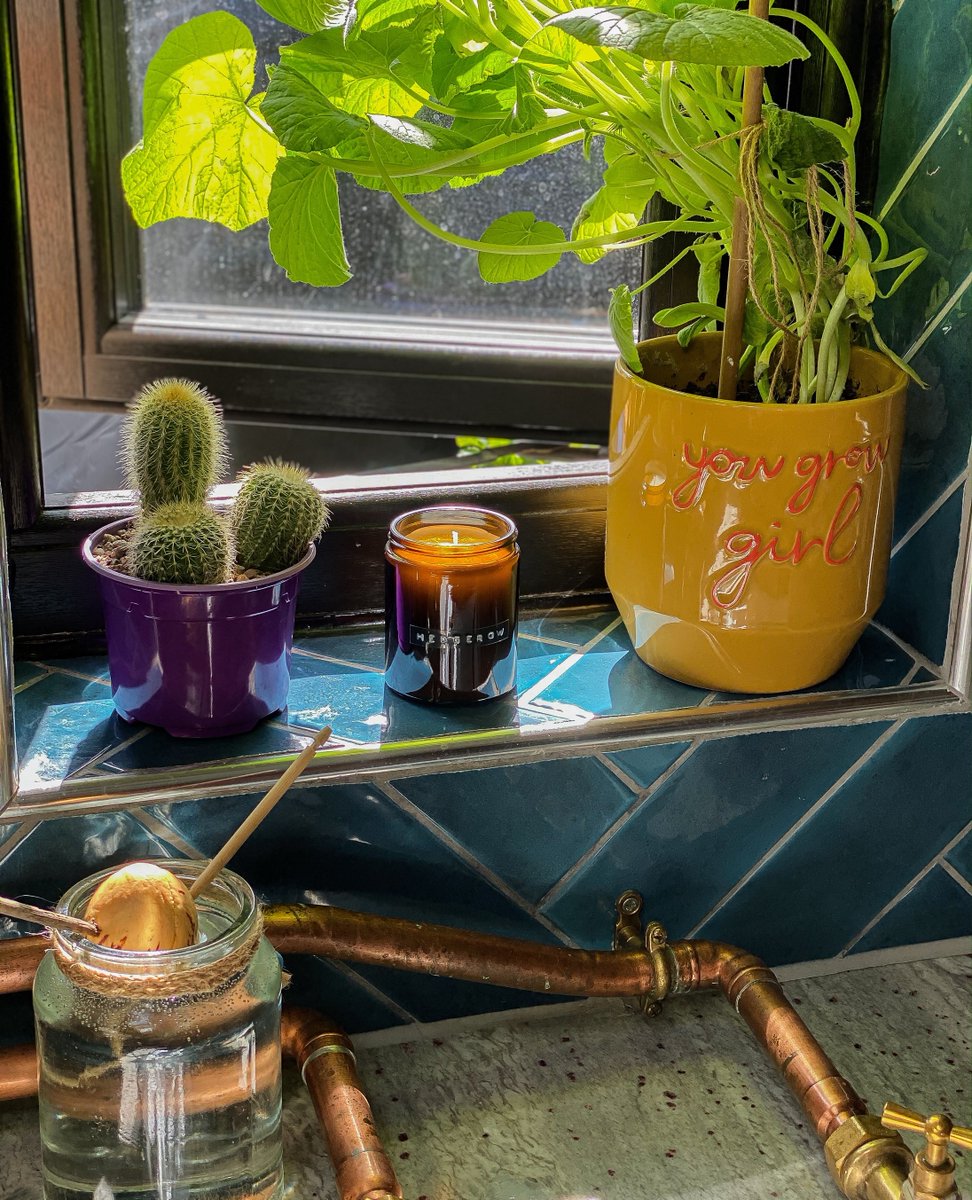 dwellinuk's tweet photo. Everyone needs a cactus, especially one as naughty as this one from @TheChicGeekcouk #thechicgeeksfabplants. The Make-Your-Own Penis Cactus Kit are now available on our website 😉⁠ ⁠https://t.co/xrsHA6PRyh https://t.co/CteE0FvirD